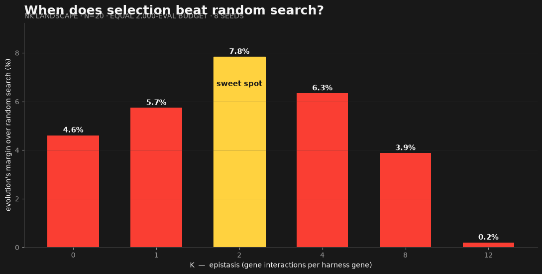 Bar chart of evolution's margin over random search versus K, peaking at K=2 and collapsing at K=12.